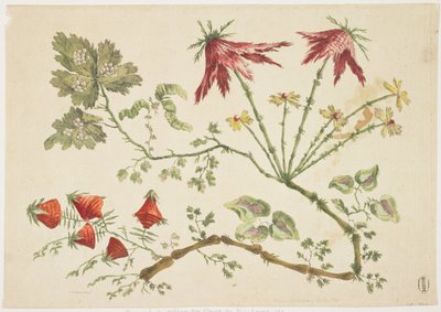 Ornament, Chinoiserie, Flowers, June 30, 1760 by Pierre Charles Canot